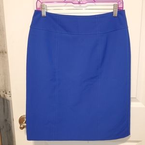 Worthington Skirt